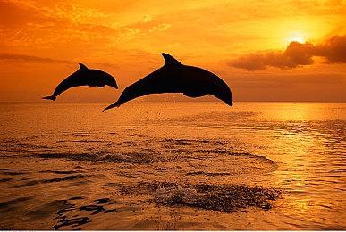 Stadia被关闭谷歌仍将致力于游戏行业 提供实时服务游戏解决方案